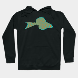 Pleco Psychedelic Hoodie